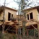 Vue d'ensemble de la maison intégrée à la forêt